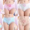 4 Pcs Womens Lace Stretch Sexy Bikini Panties Peony Embroidery Full Briefs Underwear,Beige Blue White Pink